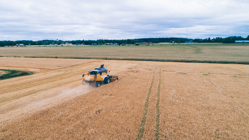 DJI_0010.jpg